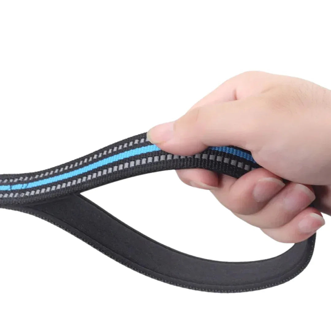 Sterke Staaldraad Hondentraining P-ketting Leiband - Ruffy