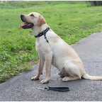 Sterke Staaldraad Hondentraining P-ketting Leiband - Ruffy