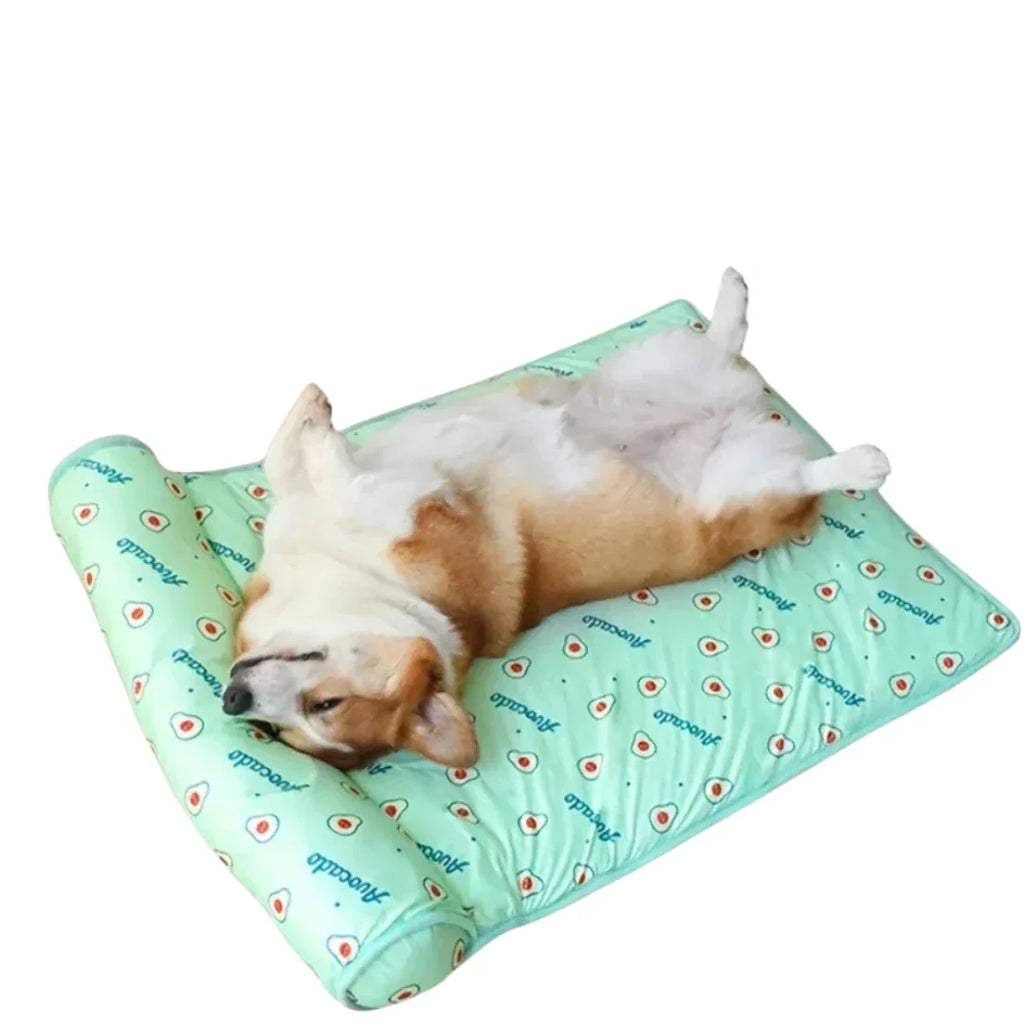 Verkoelend Hondenbed Met Kussen Zelfkoelend Comfortabel Pluche Ondersteuning Lichtgewicht Draagbaar - Ruffy