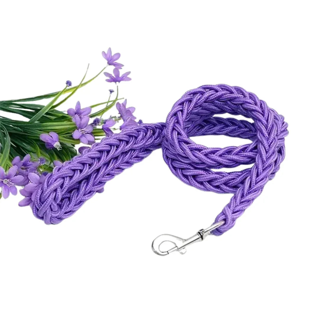 Hondenriem | Sterk Geweven Nylon | Heavy Duty | Middelgrote & Grote Honden - Ruffy