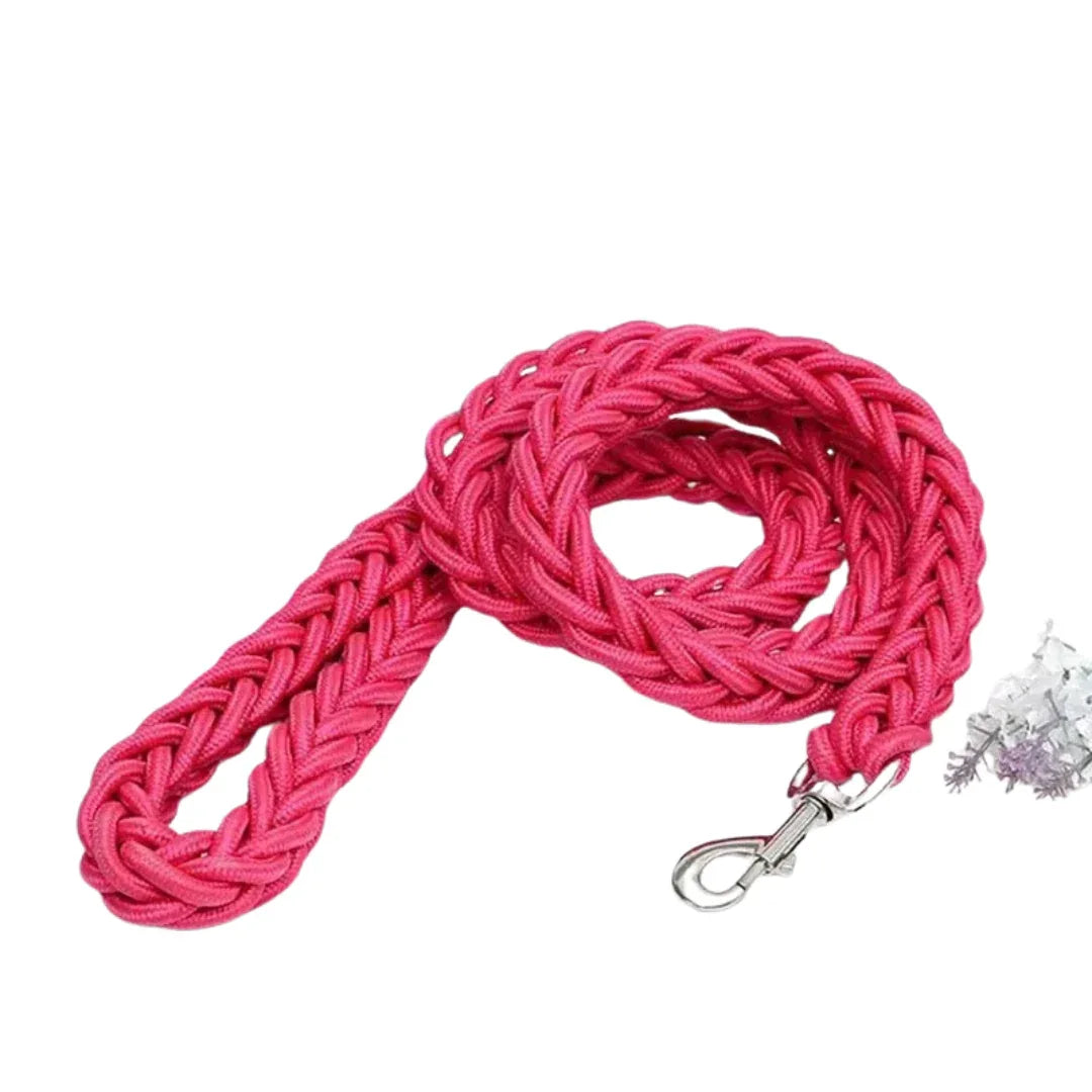 Hondenriem | Sterk Geweven Nylon | Heavy Duty | Middelgrote & Grote Honden - Ruffy