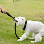 Hondenriem | Sterk Geweven Nylon | Heavy Duty | Middelgrote & Grote Honden - Ruffy