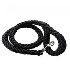 Hondenriem | Sterk Geweven Nylon | Heavy Duty | Middelgrote & Grote Honden - Ruffy