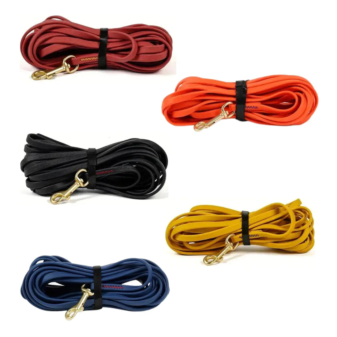 Lange Trainingslijn voor Honden | Waterdicht PVC | Gewatteerde Neopreen Handgreep | 360° Draaibare Clip - Ruffy