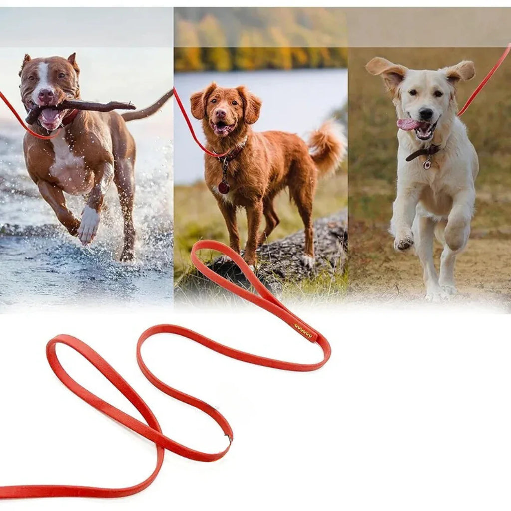 Lange Trainingslijn voor Honden | Waterdicht PVC | Gewatteerde Neopreen Handgreep | 360° Draaibare Clip - Ruffy