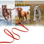 Lange Trainingslijn voor Honden | Waterdicht PVC | Gewatteerde Neopreen Handgreep | 360° Draaibare Clip - Ruffy