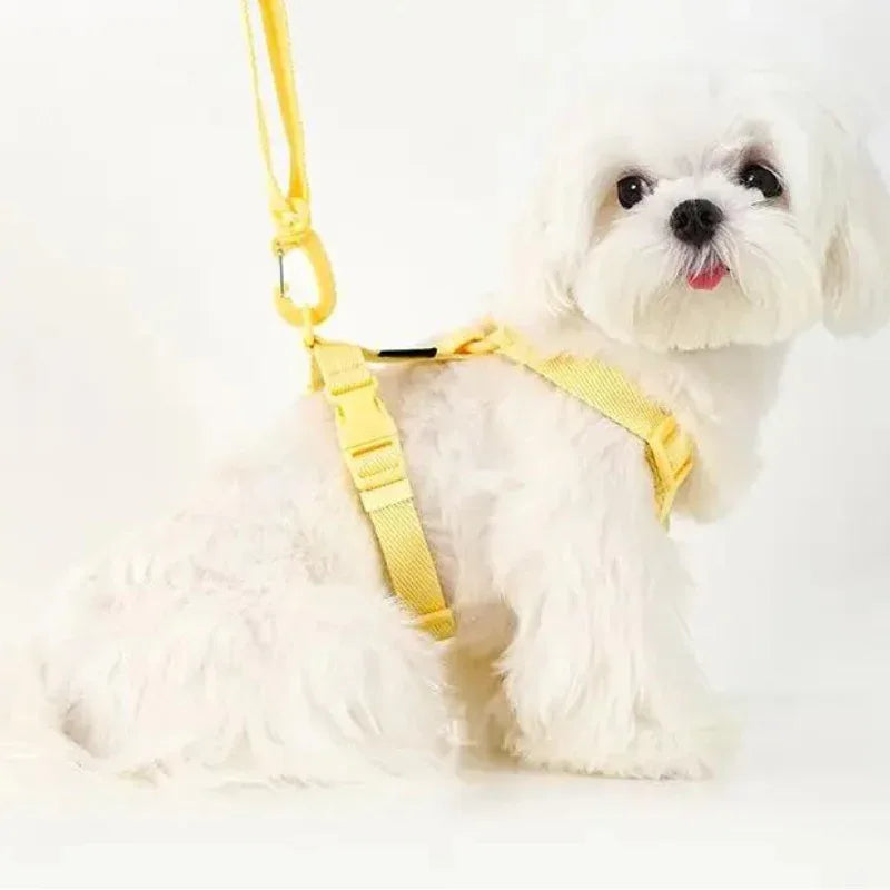 Lichte Kleur Hondentuig Leiband Set Voor Kleine Honden - Ruffy
