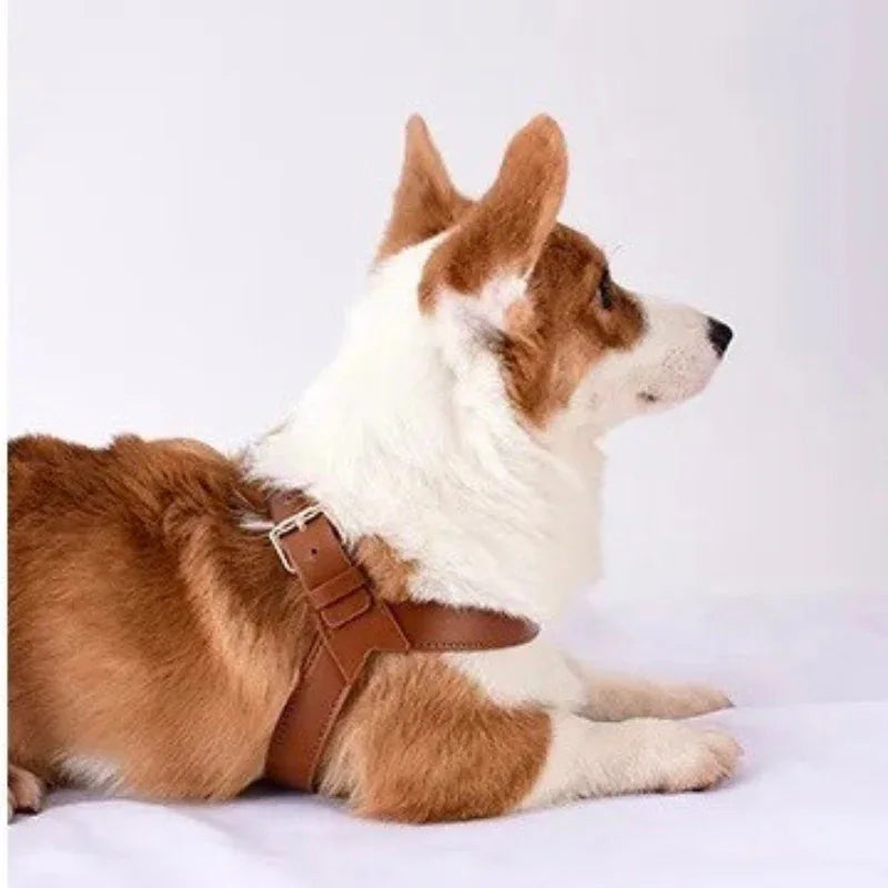 Waterdicht Leren Hondentuig Hoge Kwaliteit Comfortabel - Ruffy