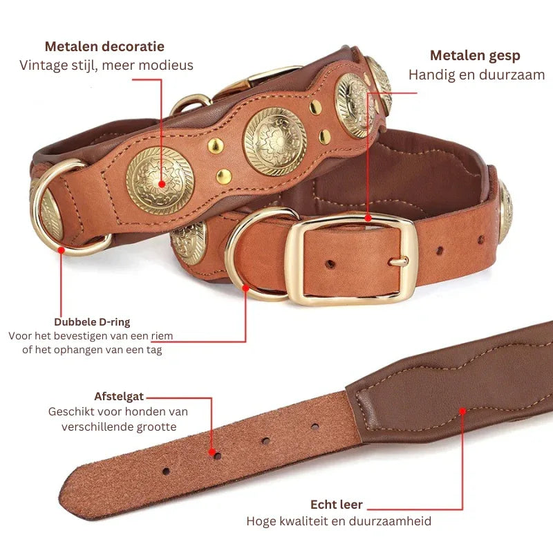 Leren Hondenhalsband Met Puntige Studs Modieus Duurzaam Verstelbaar Veilig Voor Middelgrote Tot Grote Honden - Ruffy