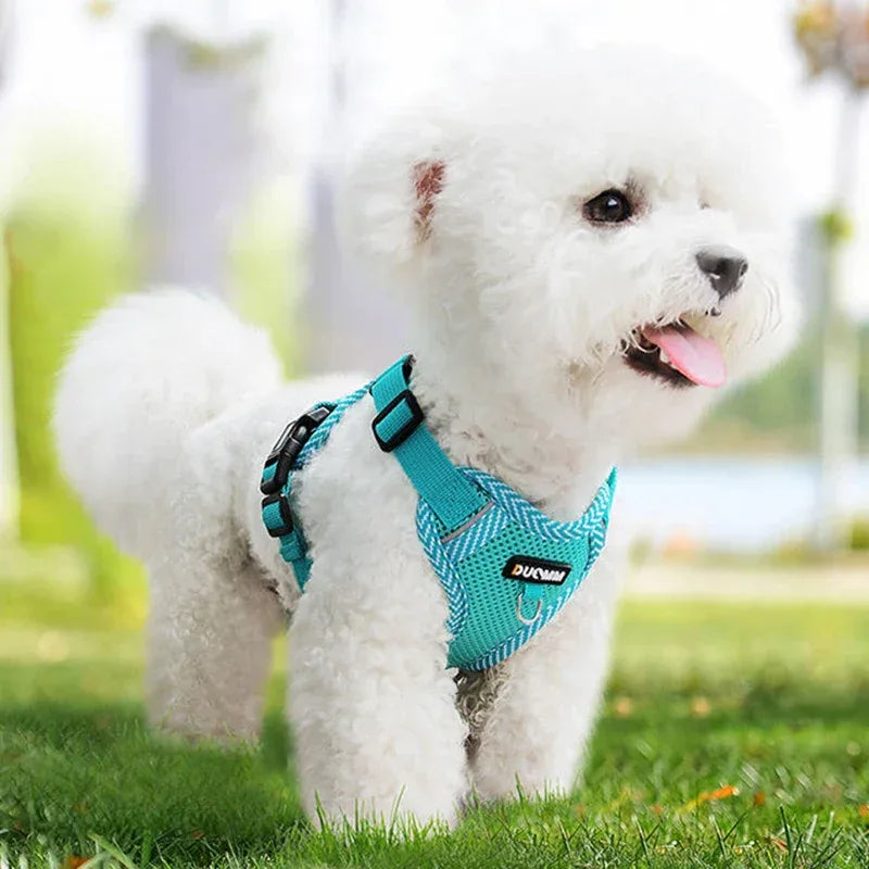 Hondentuig en Riem Set | Ademend Mesh | Reflecterend Ontwerp voor Kleine Honden - Ruffy