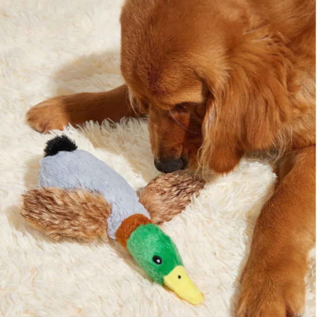 Pluche Eendje Kauw Speelgoed Piepende Geluiden Gebitsverzorging Duurzaam Veilig Voor Honden - Ruffy