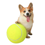 Tennisbal Reuze Honden Speelgoed Duurzaam Interactief Trainingshulpmiddel Veilig Multifunctioneel - Ruffy