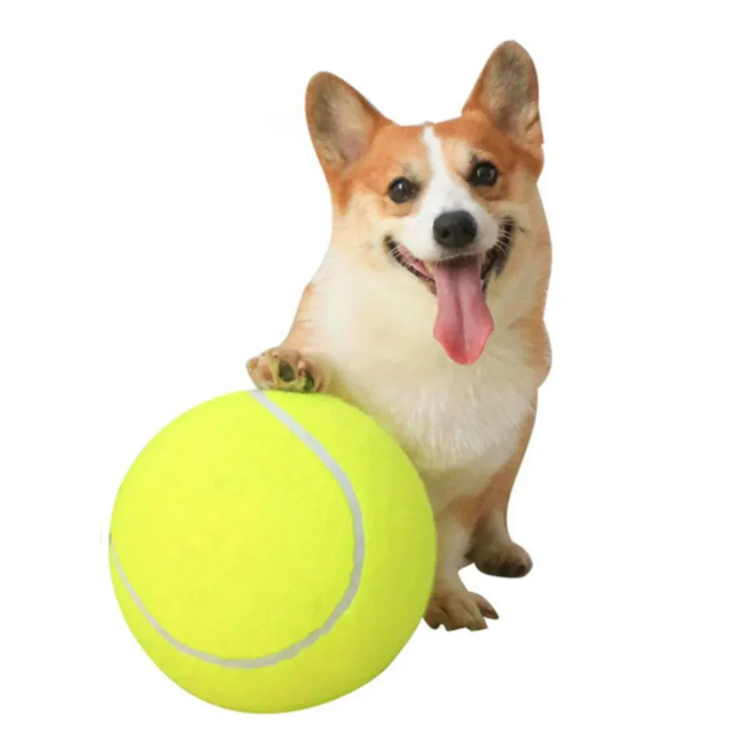 Tennisbal Reuze Honden Speelgoed Duurzaam Interactief Trainingshulpmiddel Veilig Multifunctioneel - Ruffy