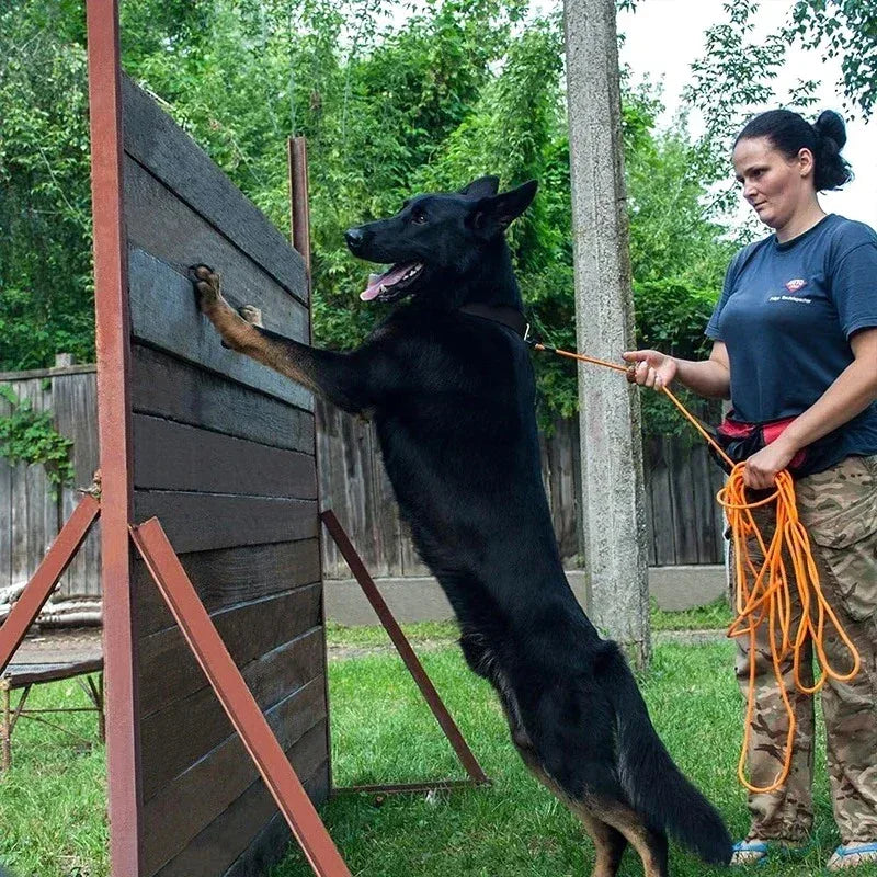 Duurzame Lange Hondenriem Voor Training - Ruffy