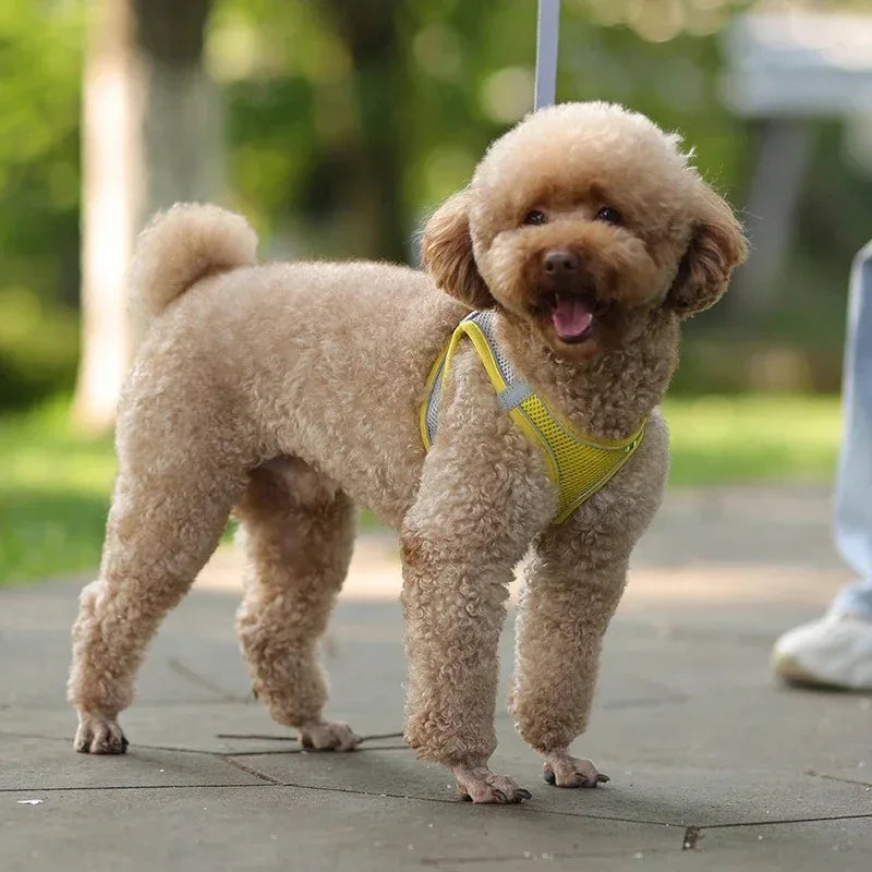 Reflecterend Harnas voor Kleine Honden Verstelbaar Ademend en Zacht Nylon Ontwerp - Ruffy
