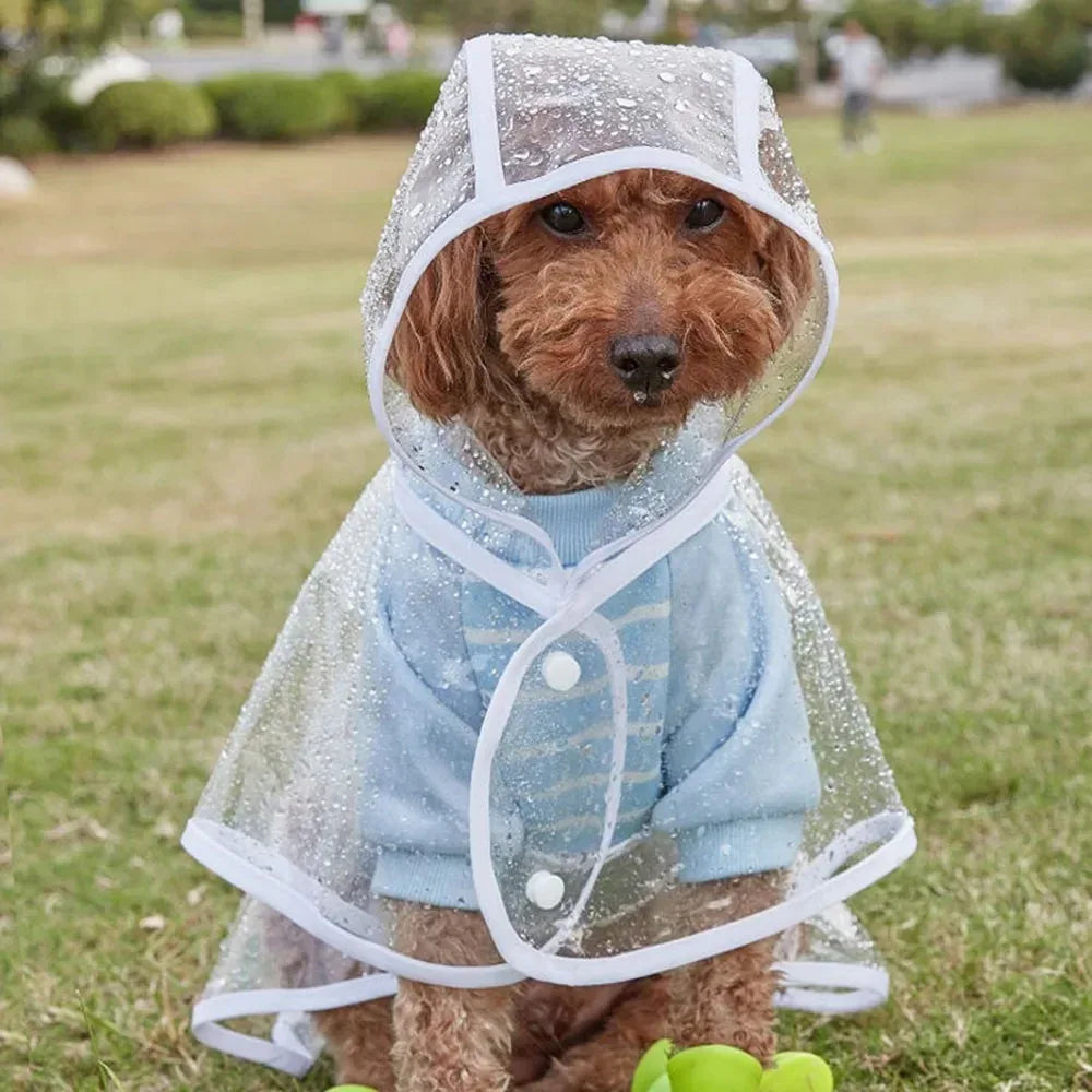 Transparante Regenjas voor Kleine Honden Waterdichte Poncho Duurzaam en Stijlvol - Ruffy