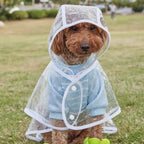 Transparante Regenjas voor Kleine Honden Waterdichte Poncho Duurzaam en Stijlvol - Ruffy