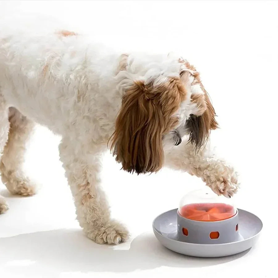 Interactieve Slow Feeder Puzzle Hondenbak Voedselveilig Duurzaam Mentale Stimulatie Gezonde Spijsvertering - Ruffy
