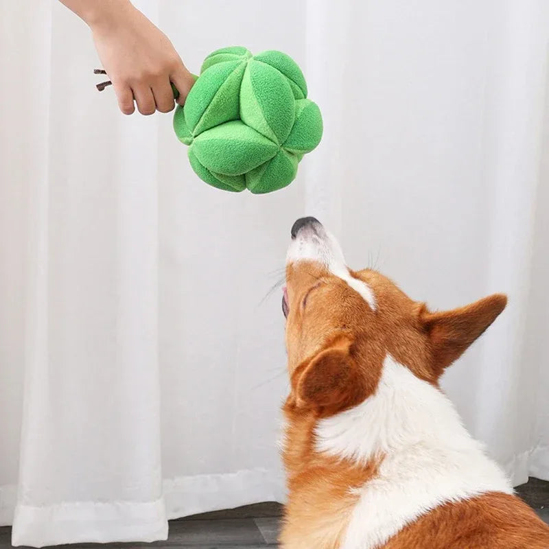 Snuffelende Broccoli Interactieve Traktatie Speelgoed - Ruffy
