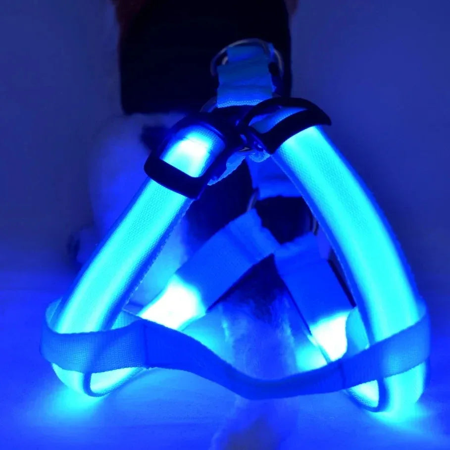 Hondentuig Lichtgevend USB Oplaadbaar - Ruffy