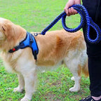 Hondenriem | Sterk Geweven Nylon | Heavy Duty | Middelgrote & Grote Honden - Ruffy