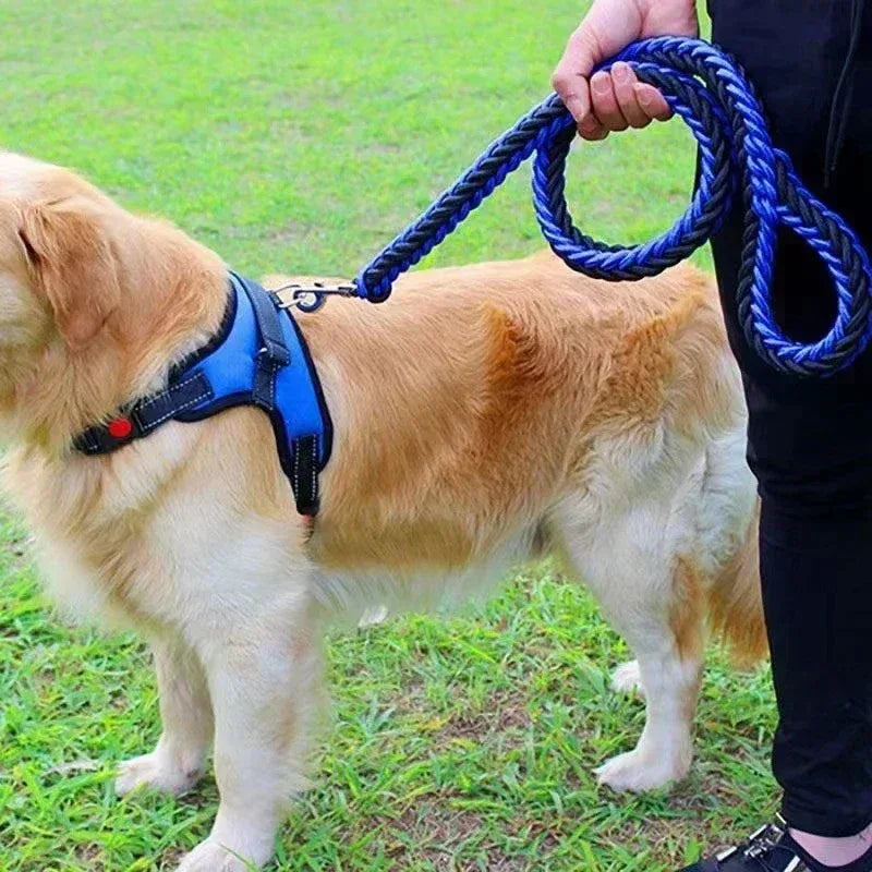 Hondenriem | Sterk Geweven Nylon | Heavy Duty | Middelgrote & Grote Honden - Ruffy