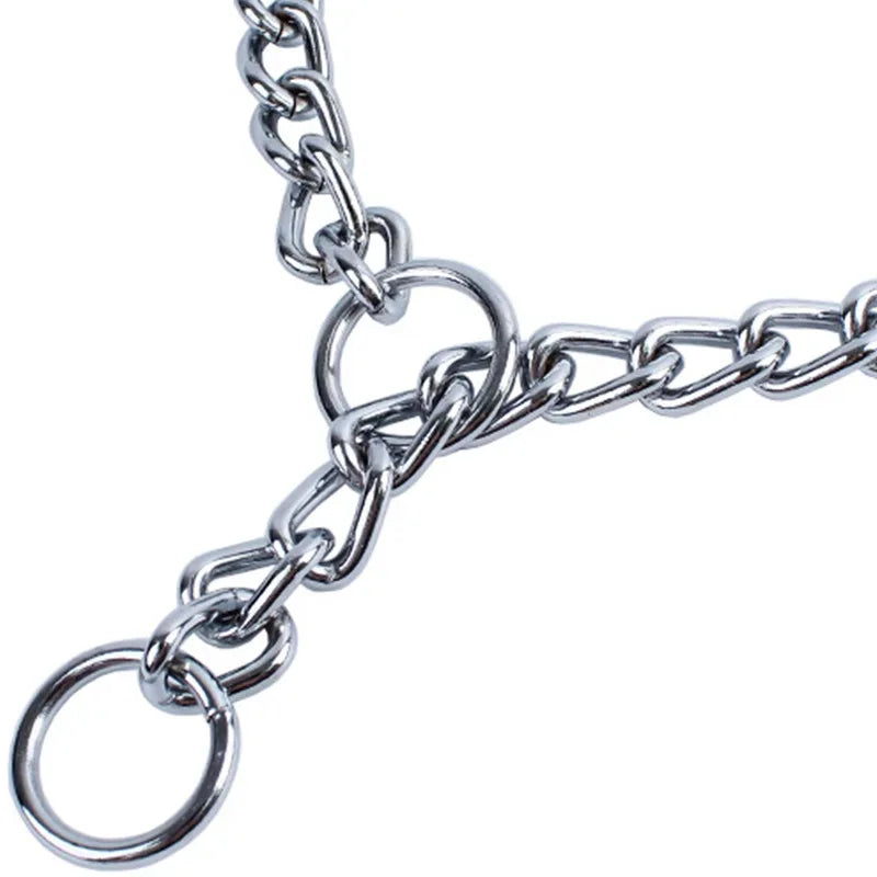 Honden Halsband Zware Uitvoering Roestvrij Staal - Ruffy