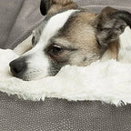 Luxe Orthopedisch Hondenkussen met Traagschuim Wasbare Hoes en Pluche Bekleding - Ruffy