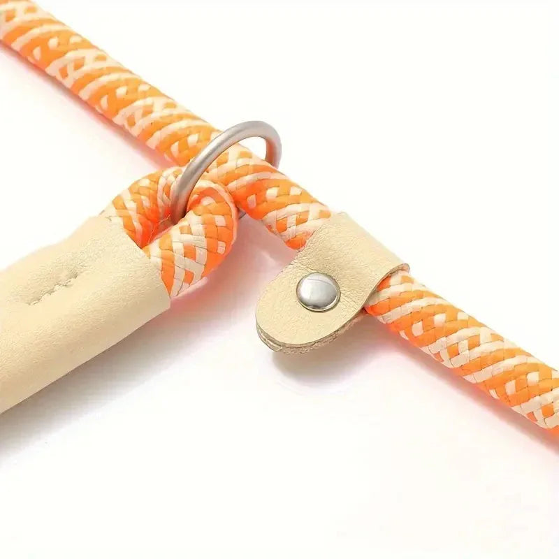 Reflecterende No-Pull Hondenriem Duurzaam Verstelbaar Veiligheid Trainingsriem Voor Middelgrote en Grote Honden Nylon - Ruffy
