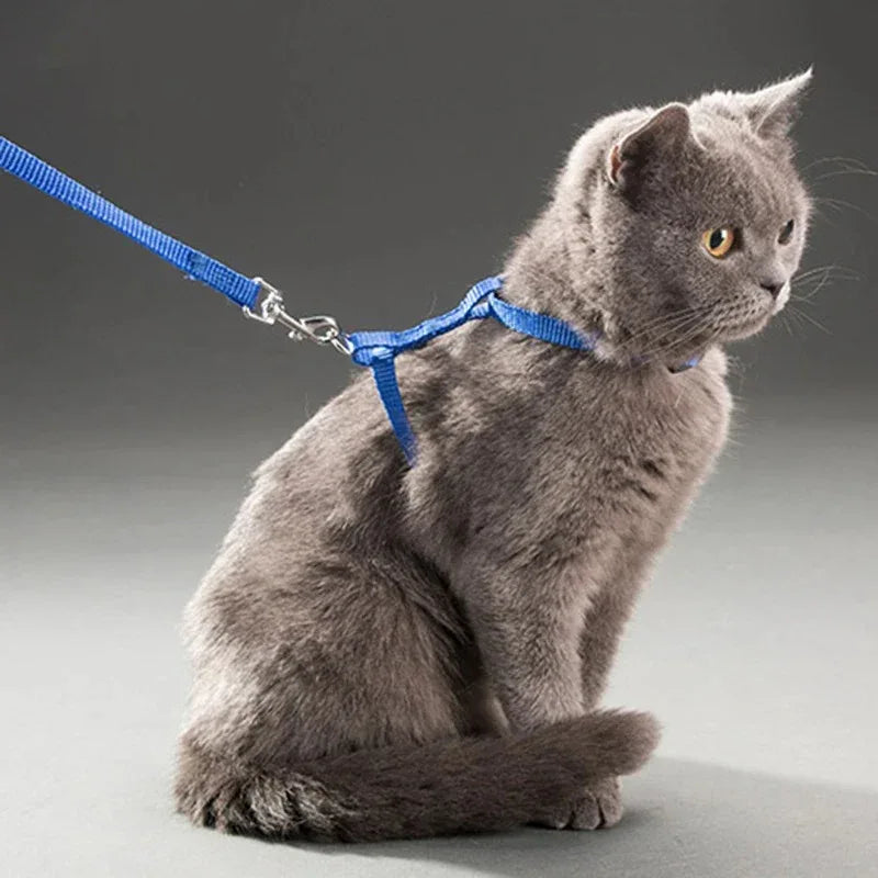 Duurzaam verstelbaar nylon kattentuig met bijpassende riem – veiligheid en comfort voor actieve katten - Ruffy