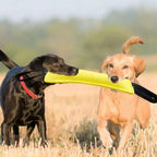 Duurzaam Honden Kauwspeelgoed Met Bijtstok - Ruffy