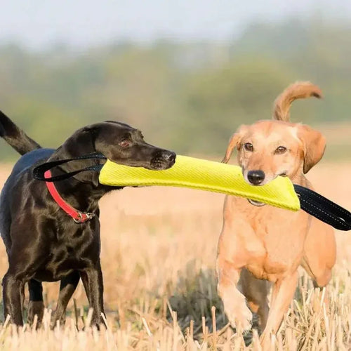 Duurzaam Honden Kauwspeelgoed Met Bijtstok - Ruffy