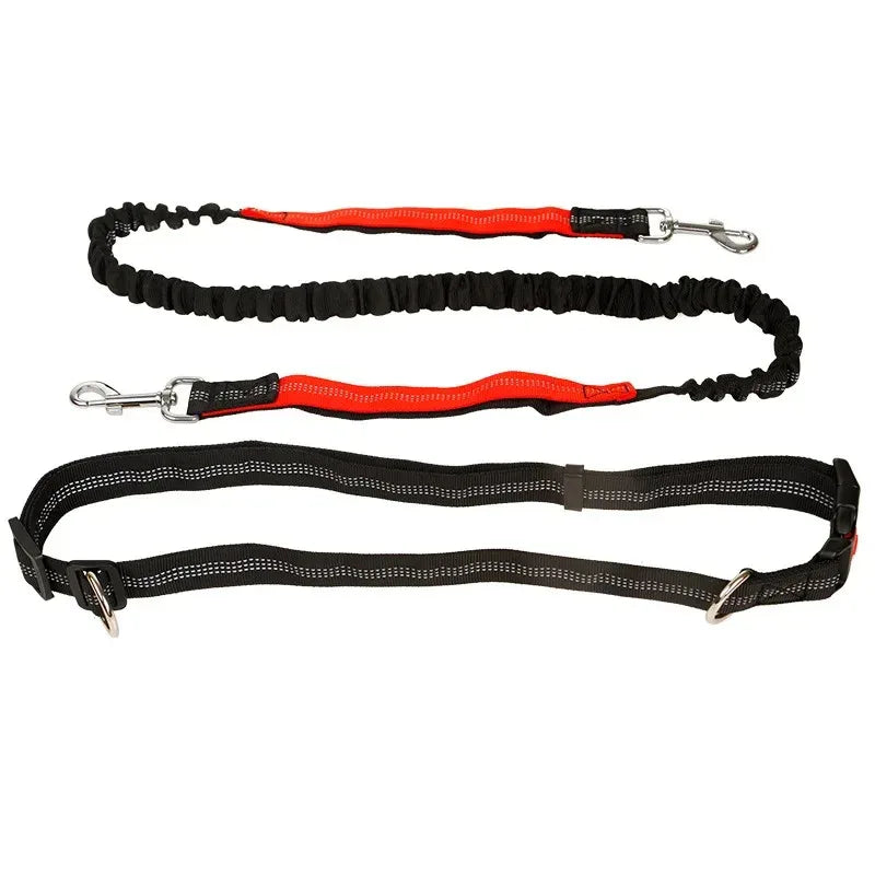 Hands-Free Intrekbare Hondenriem Met Heupriem Reflecterend Bungee Ontwerp Comfortabel Voor Wandelen en Rennen - Ruffy