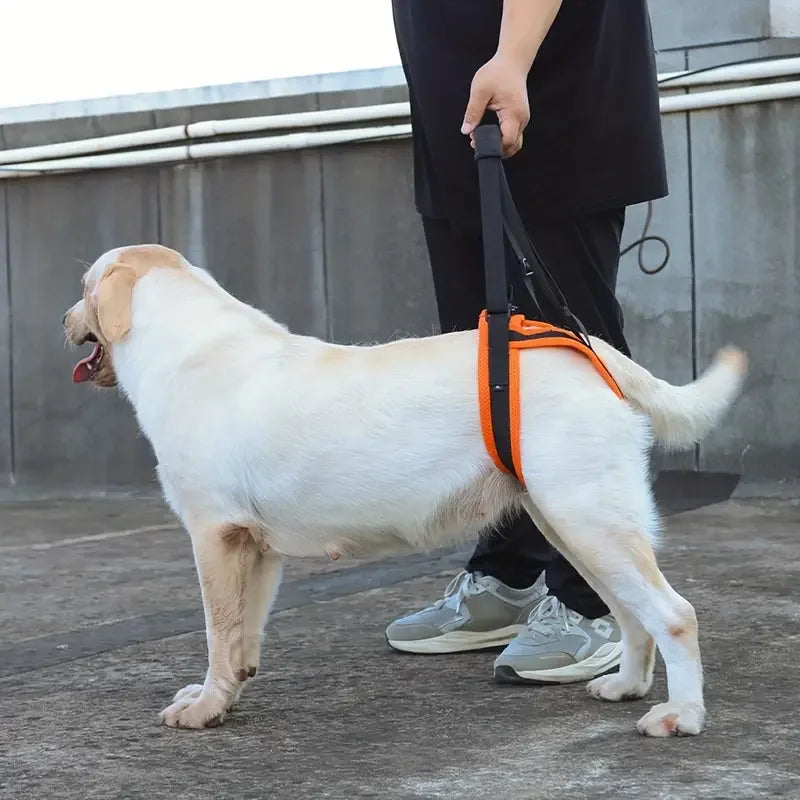 Hondenbeen Hulp Riem - Ruffy