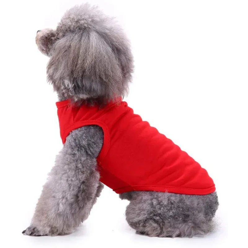 Hond Zomer Overhemd - Ruffy