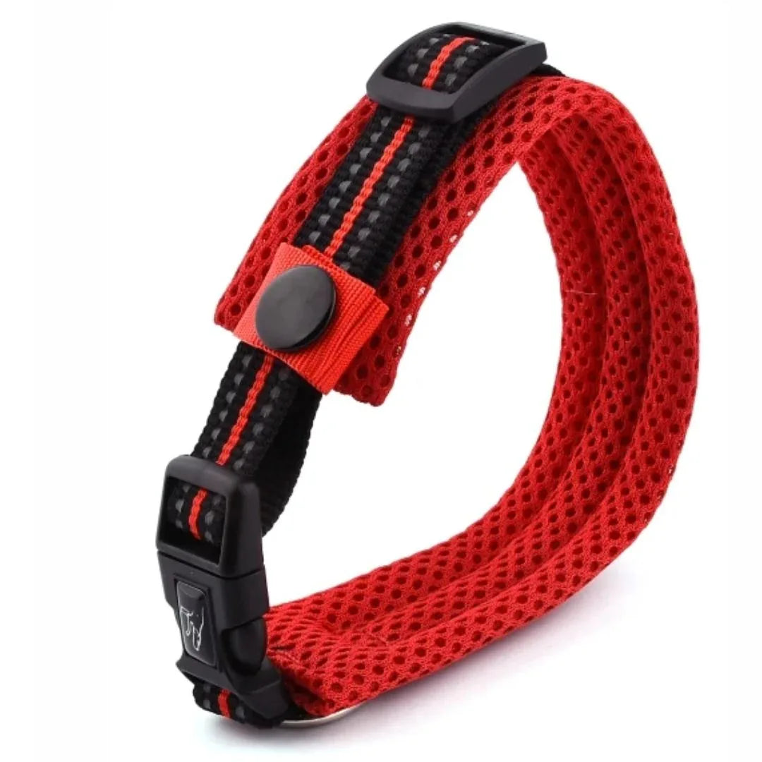 Verstelbare Gevoerde Reflecterende Nylon Hondenhalsband Comfortabel Duurzaam Veilig Voor Training en Wandelingen - Ruffy