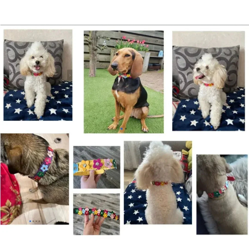 Bloemen leren hondenhalsband - Ruffy