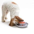 Interactieve Slow Feeder Puzzle Hondenbak Voedselveilig Duurzaam Mentale Stimulatie Gezonde Spijsvertering - Ruffy