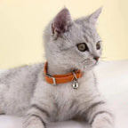 Luxe Leren Kattenhalsband Verstelbaar Anti-Stik Ontwerp Zachte Comfortabele Pasvorm XS tot S - Ruffy