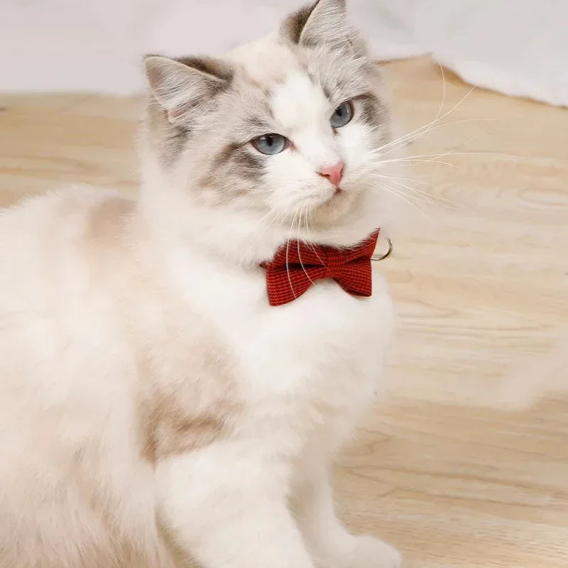 Elegante verstelbare kattenhalsband met vlinderdas voor speciale gelegenheden en dagelijks gebruik - Ruffy