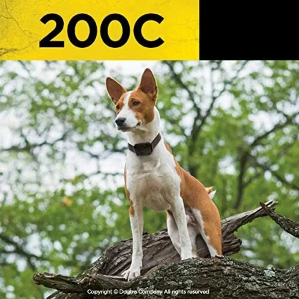 Draadloze Trainingshalsband voor Honden 1/2 Mijl Bereik Waterdicht Aanpasbare Modi Duurzaam - Ruffy