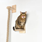 Katten Klimtouw Duurzaam Veelzijdig Stimuleert Activiteit en Gezondheid 1.5m Lang - Ruffy