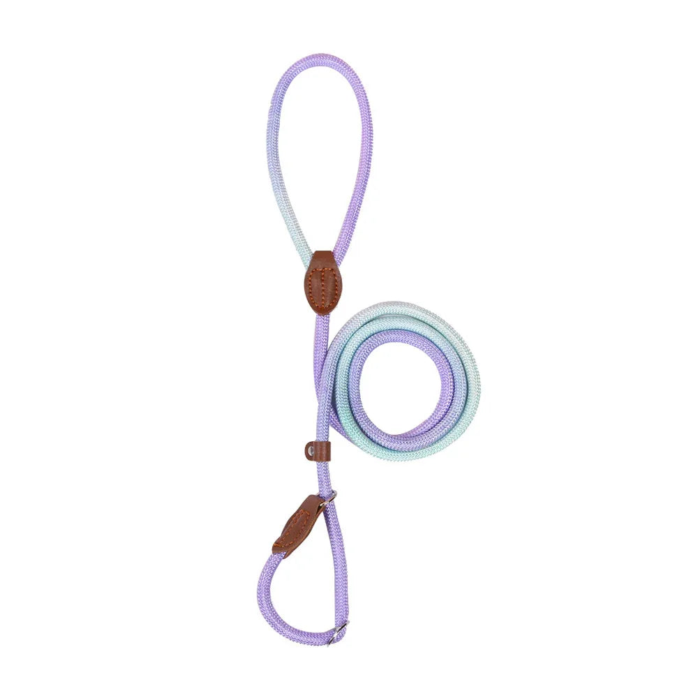 Kluwenvrije Hondenriem Ergonomisch Duurzaam Nylon Comfortabele Grip Stijlvol Ontwerp - Ruffy