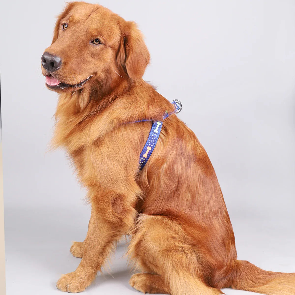 Hondentuig en Riem Set Verstelbaar Comfortabel Reflecterend Duurzaam Nylon Veilig en Stijlvol - Ruffy