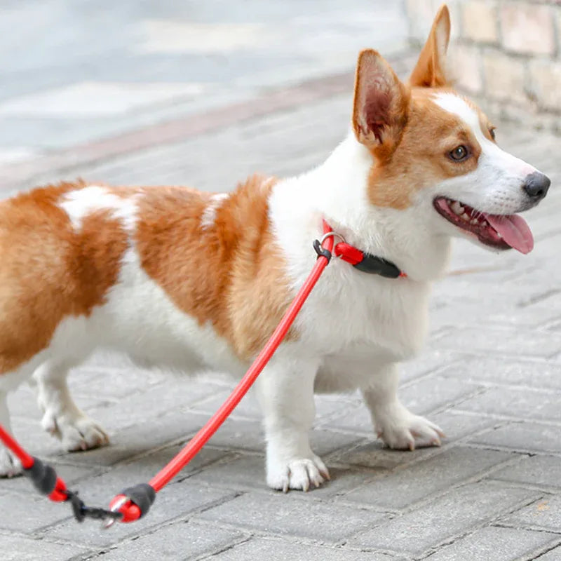 Nylon Treksluit Halsbanden Riem Voor Honden training Sliplead - Ruffy