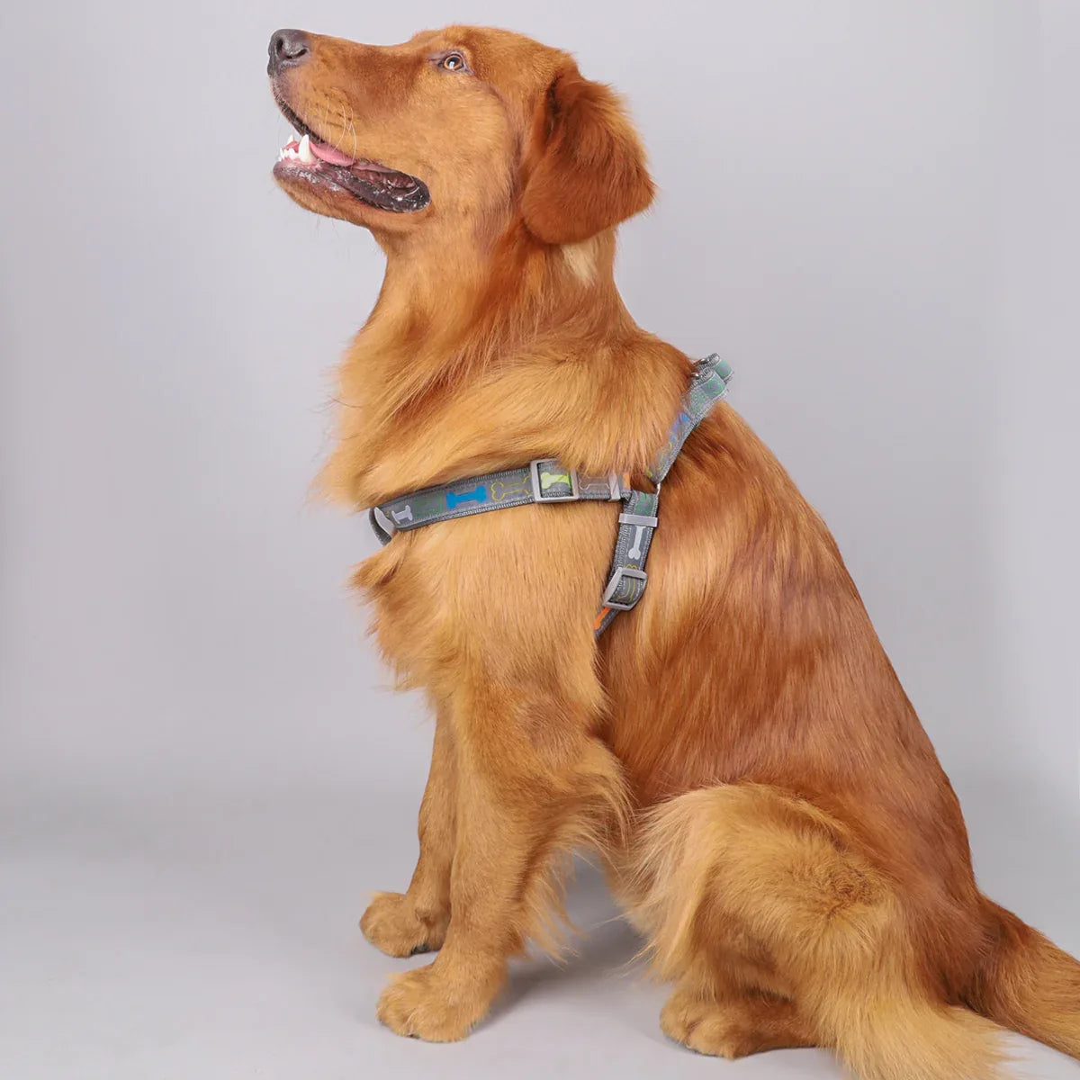Hondentuig en Riem Set Verstelbaar Comfortabel Reflecterend Duurzaam Nylon Veilig en Stijlvol - Ruffy