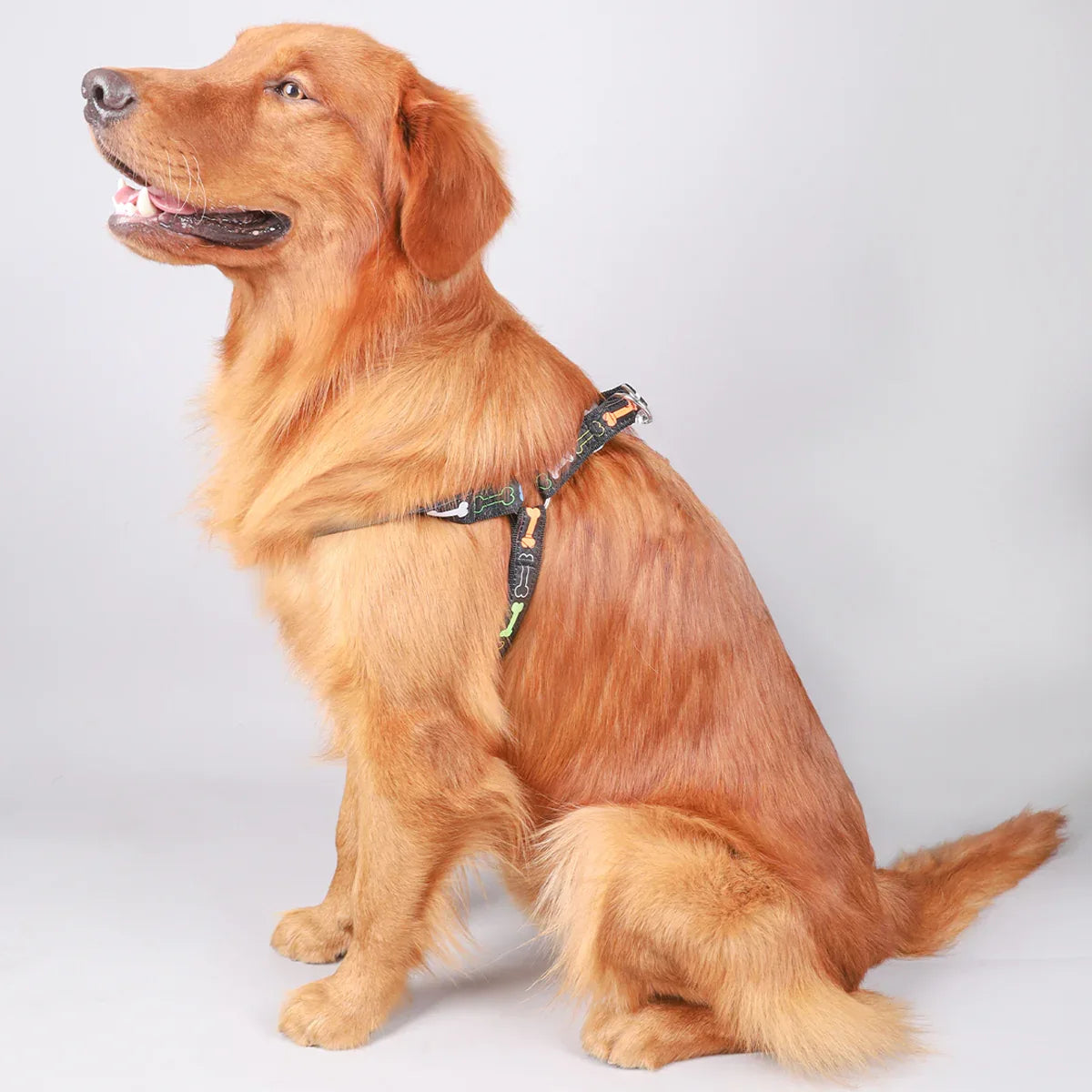 Hondentuig en Riem Set Verstelbaar Comfortabel Reflecterend Duurzaam Nylon Veilig en Stijlvol - Ruffy