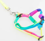 Regenboog Hondenharnas en Riem Set Verstelbaar Duurzaam Ergonomisch Ontwerp 120cm Riem - Ruffy