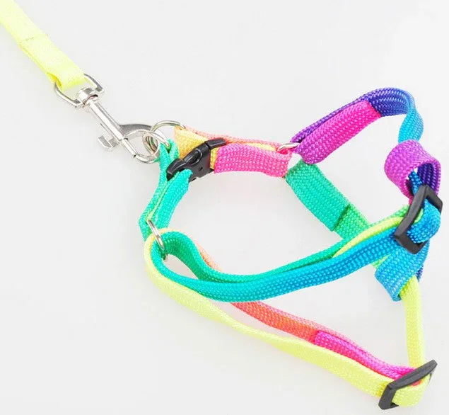 Regenboog Hondenharnas en Riem Set Verstelbaar Duurzaam Ergonomisch Ontwerp 120cm Riem - Ruffy