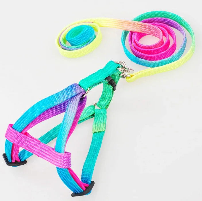 Regenboog Hondenharnas en Riem Set Verstelbaar Duurzaam Ergonomisch Ontwerp 120cm Riem - Ruffy